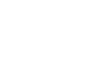 AE Evans Logo White